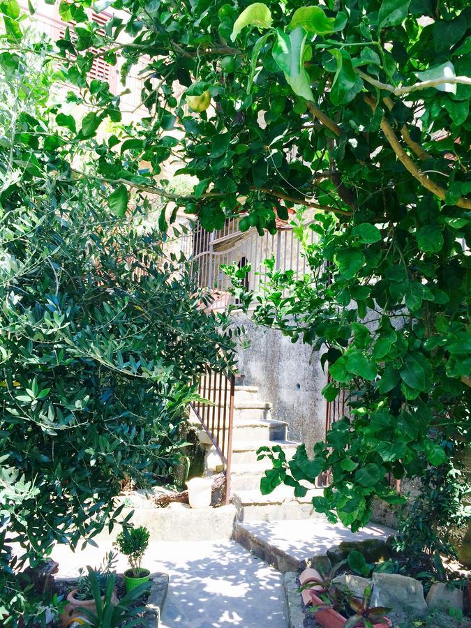 Pozzo Medievale Prignano Cilento エクステリア 写真